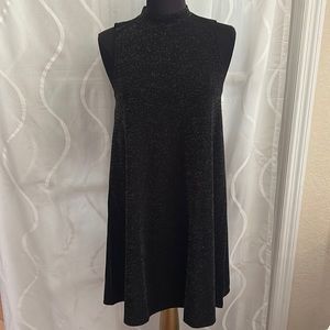 Ann Taylor, Sleeveless, Black With Silver Sparkles, Dress, Size Small